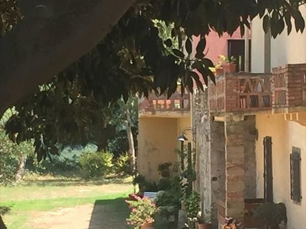 Azienda Agrituristica Piccolo - foto 47129.jpg