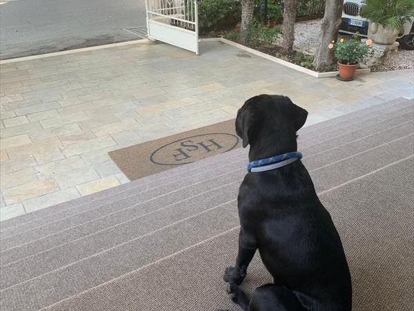 Hotel San Francisco Spiaggia - foto 47133.jpg