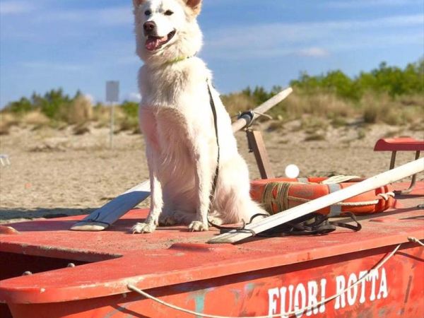 FuoriRotta Beach  - foto 47139.jpg