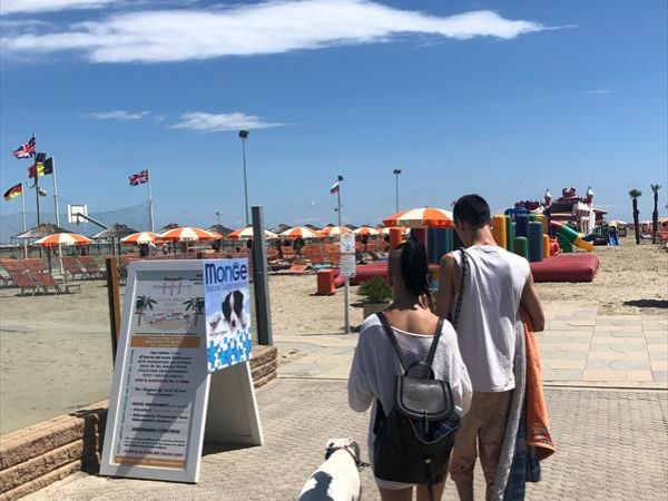 Maremoto Beach - Villaggio Bagni 14 e 15  - foto 47145.jpg