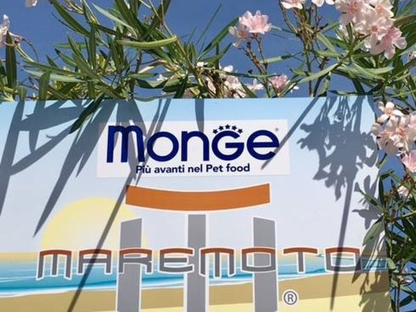 Maremoto Beach - Villaggio Bagni 14 e 15  - foto 47149.jpg