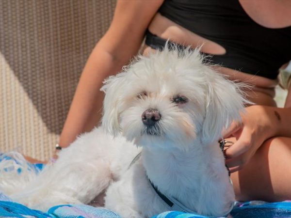 Girasole Eco Family Village  - foto 47157.jpg