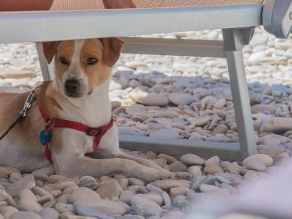 Girasole Eco Family Village  - foto 47158.jpg