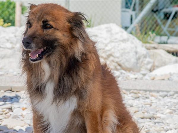 Girasole Eco Family Village  - foto 47159.jpg