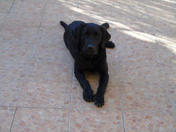 Casa Mare Noto - foto 47226.jpg