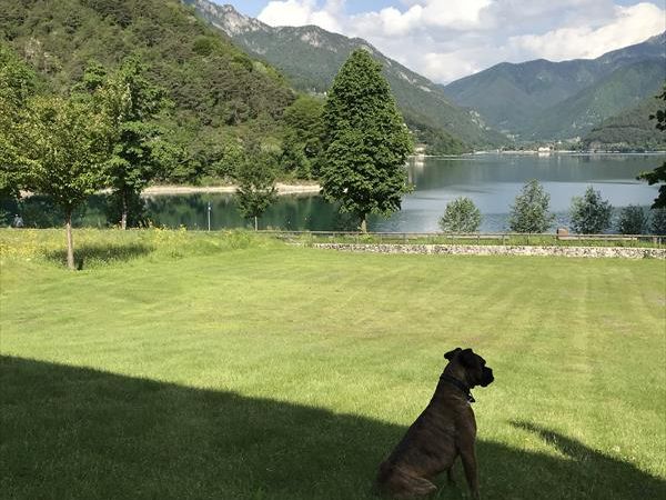 ledro service tour