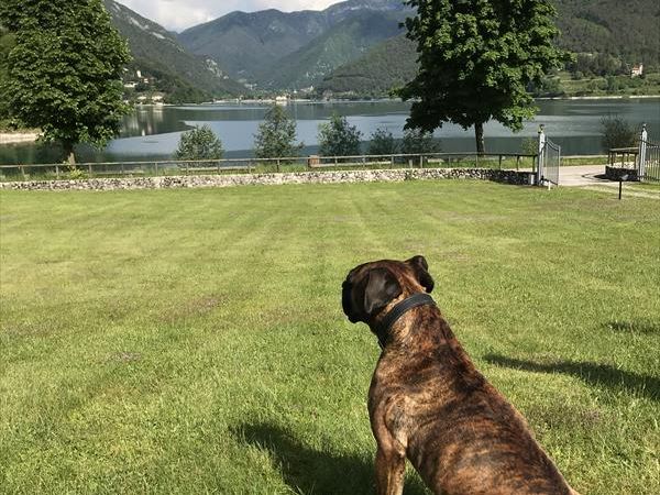 Ledro Service Tour - foto 47232.jpg