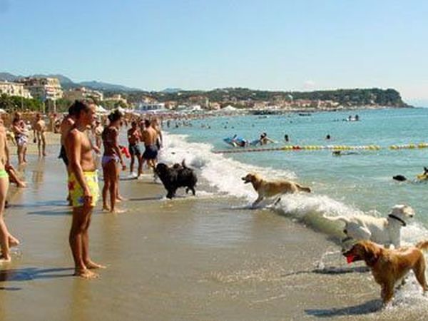 Bau Bau Village Savona - foto 14405.jpg