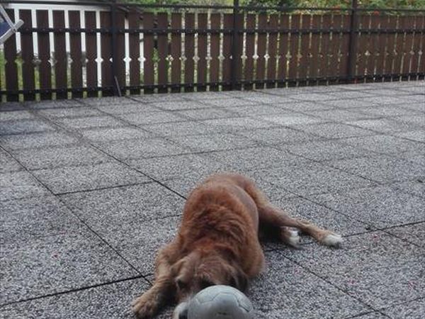 Ledro Service Tour - foto 47246.jpg