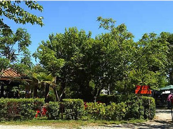 Il Campeggio di Capalbio - foto 14365.jpg