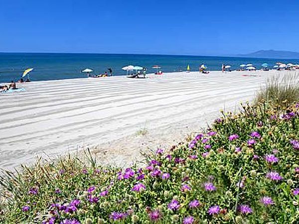 Il Campeggio di Capalbio - foto 14366.jpg