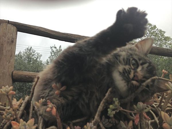 Agriturismo Tenuta San Savino delle Rocchette - foto 47271.jpg