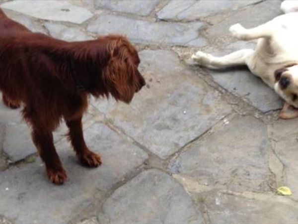 Agriturismo Tenuta Gaetano Spadaro - foto 47307.jpg