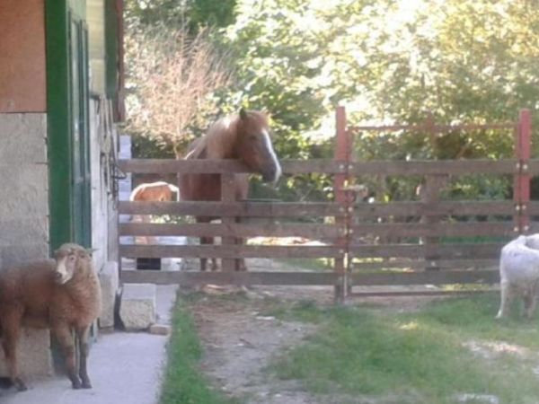 La Masseria di Antonio e Teresina - foto 47327.jpg