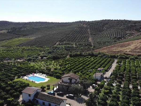 Trappeto Vecchio - foto 47366.jpg