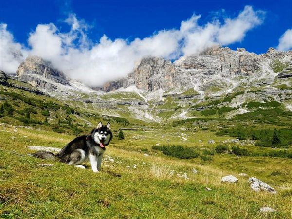 Vital Hotel Flora - foto 47441.jpg