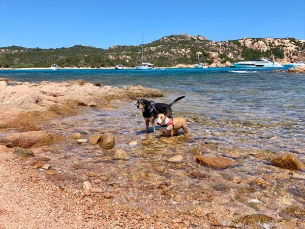 Case Vacanza Marina - Porto Rotondo  - foto 47551.jpg