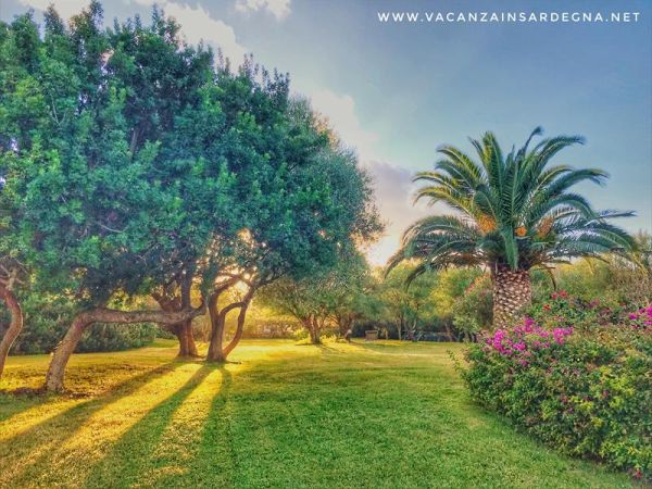 Case Vacanza Marina - Porto Rotondo  - foto 47553.jpg