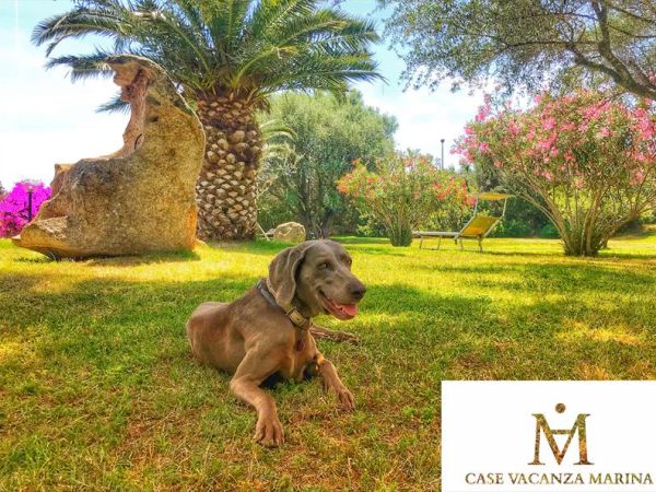 Case Vacanza Marina - Porto Rotondo  - foto 47580.jpg