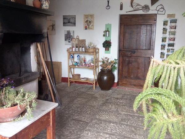 Fattoria il Praticino - foto 47589.jpg