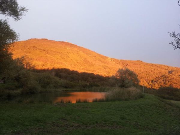 Fattoria il Praticino - foto 47597.jpg