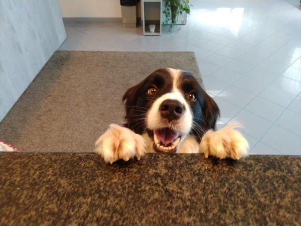 Hotel Marina - foto 47618.jpg