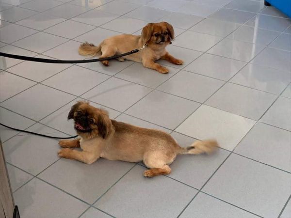 Hotel Marina - foto 47620.jpg