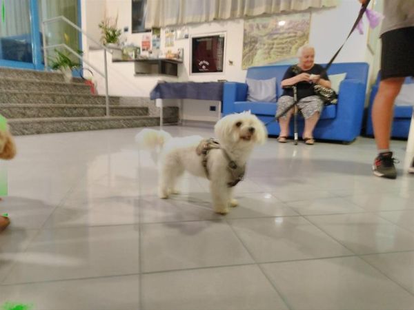 Hotel Marina - foto 47621.jpg