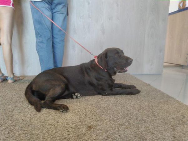 Hotel Marina - foto 47623.jpg