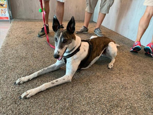 Hotel Marina - foto 47626.jpg