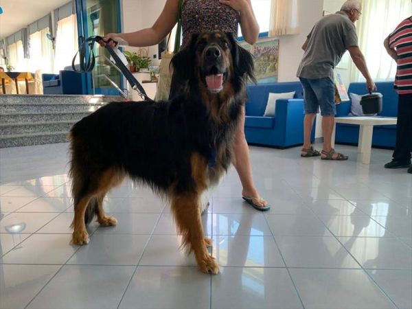 Hotel Marina - foto 47627.jpg