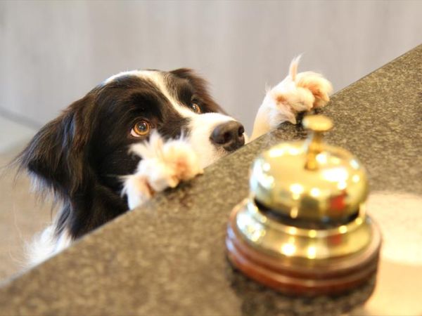 Hotel Marina - foto 47630.jpg