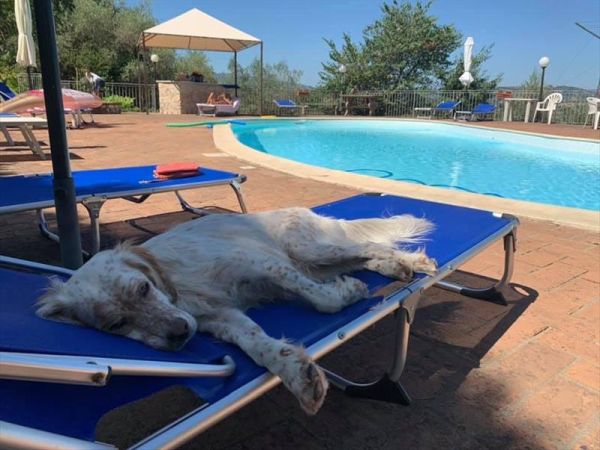 SetterHouse AgriHotel - foto 47643.jpg