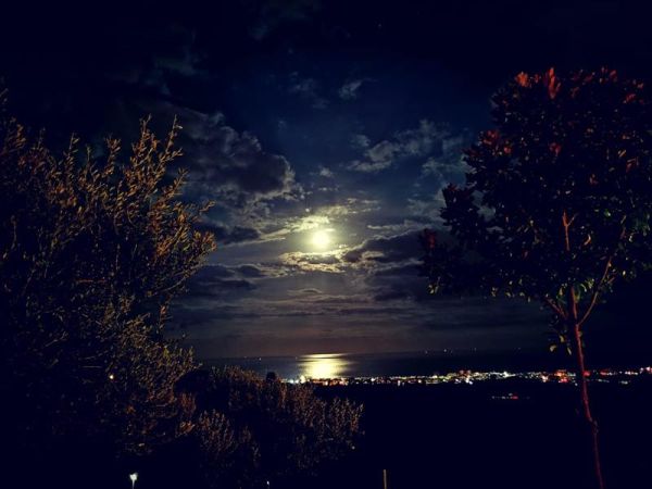 Gulliver Casa Vacanze - foto 47651.jpg