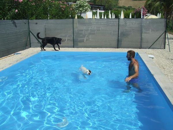 Gulliver Casa Vacanze - foto 47658.jpg