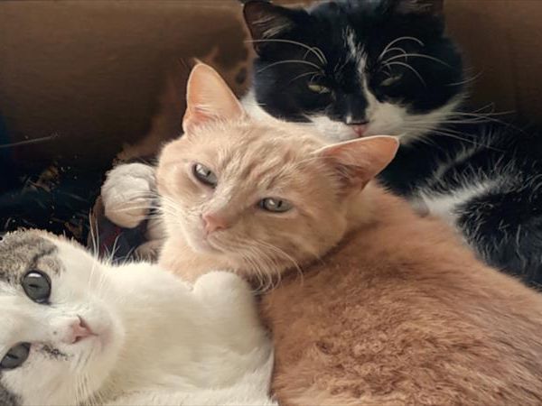 Agriturismo Antiche Dimore di Poggianto - foto 47736.jpg