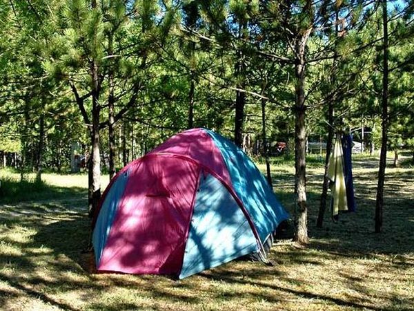 Bar Pineta Camping del Lago  - foto 14859.jpg