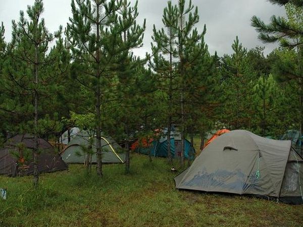 Bar Pineta Camping del Lago  - foto 14860.jpg