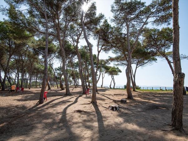 Villaggio Orizzonte - foto 47851.jpg