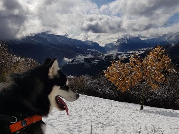 Vital Hotel Flora - foto 47868.jpg