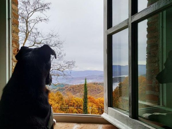 Agriturismo Montesalce - foto 47974.jpg