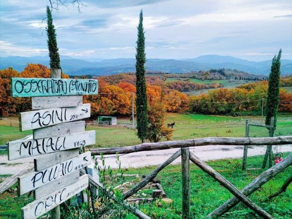 Agriturismo Montesalce - foto 47975.jpg