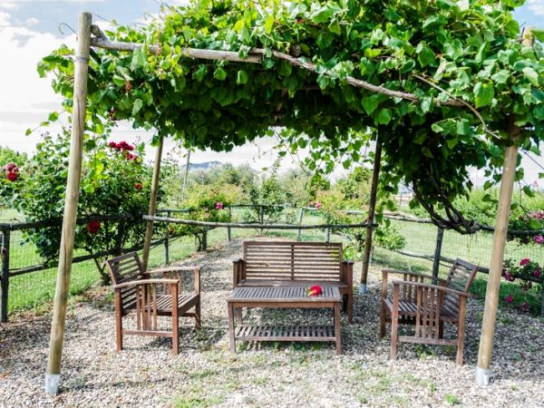 Agriturismo Corte alle Rose - foto 48011.jpg