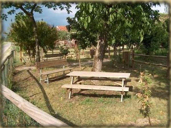 Agriturismo Corte Casone - foto 14891.jpg