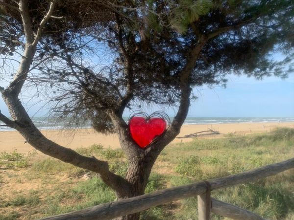 Eurovacanze Bibione - foto 48063.jpg