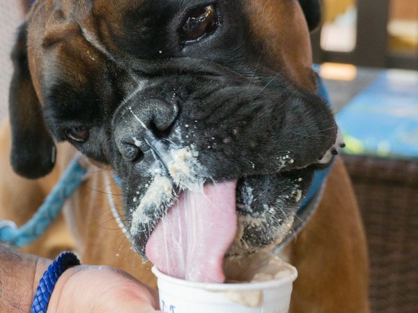 Villaggio Club degli Ulivi - foto 48090.jpg