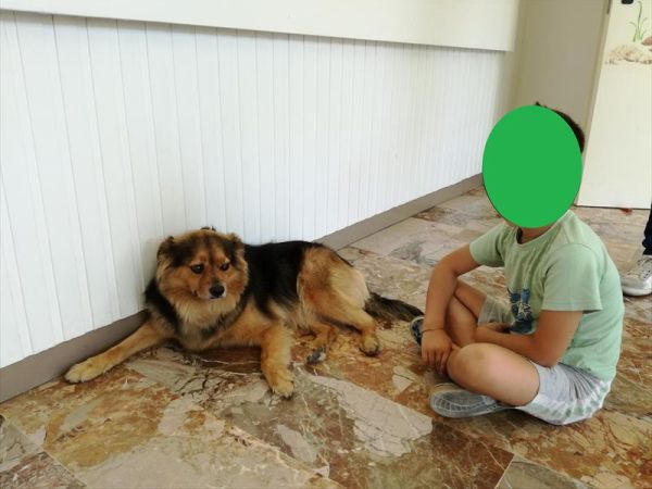 Hotel Viscount - foto 48286.jpg