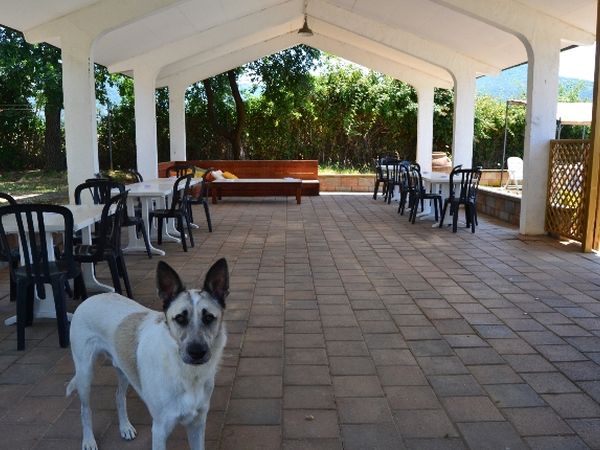 Le Vigne dei Guelfi - foto 48305.jpg