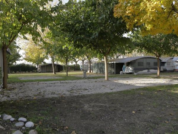 camping da giovanni - foto 48312.jpg