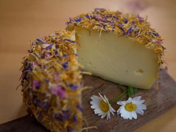 Maso Fior di Bosco - foto 48429.jpg